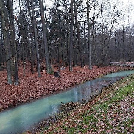 Gaestehaus Vergissmeinnicht Guteborn エクステリア 写真